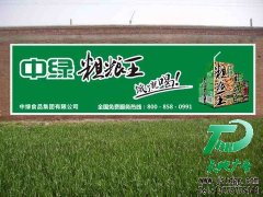 电视广告和墙体广告哪一个更适合小公司
