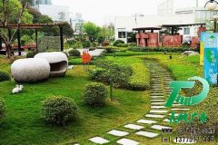 美化环境装饰公司园区的园林绿化