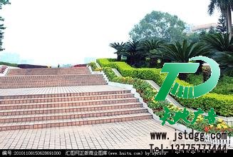 园林绿化