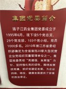 打造出党建文化墙，发扬党建新气象！