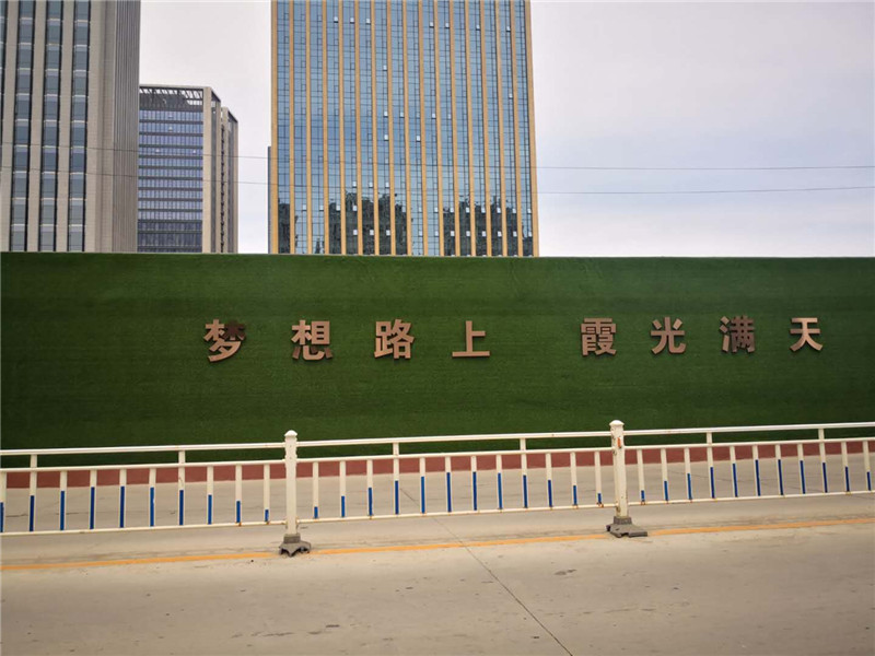 围挡草坪